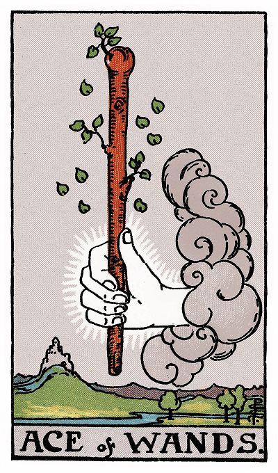 Ace of Wands tarot card