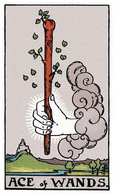 ace of wands tarot card
