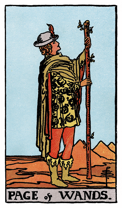 page of wands tarot card